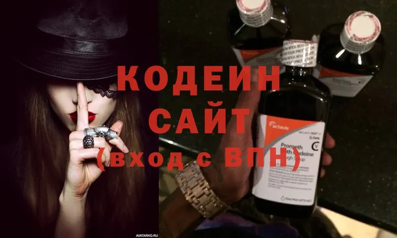 продажа наркотиков  Ногинск  Кодеиновый сироп Lean Purple Drank 